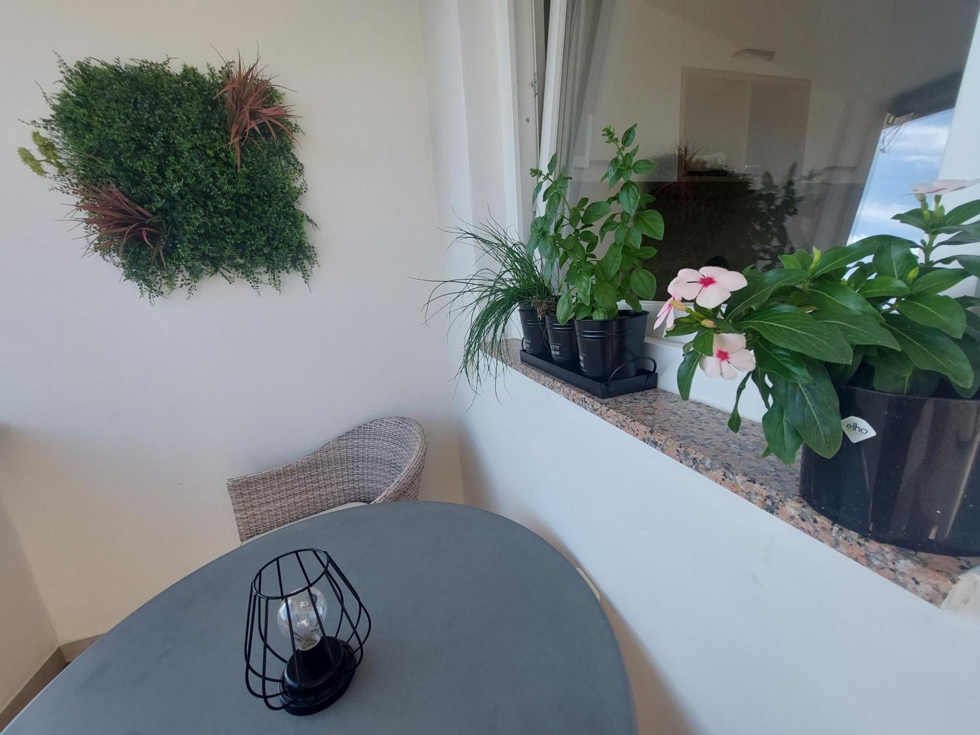Petra Rooms And Apartments Palit الغرفة الصورة